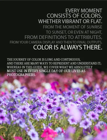 Fill Your Frame with True Color - Photography, Color Photography, Color Theory, Digital Photography, Online Photography Courses