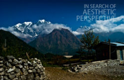 In Search of Aesthetic Perspective
