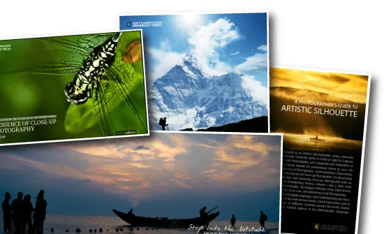 Online Photography Courses, Photography Awards, Photography Education, Photojournalism, Photography Publications - Light & Composition Prime Light & Composition Prime - Online Photography Courses, Photography Awards, Photography Education, Photojournalism, Photography Publications