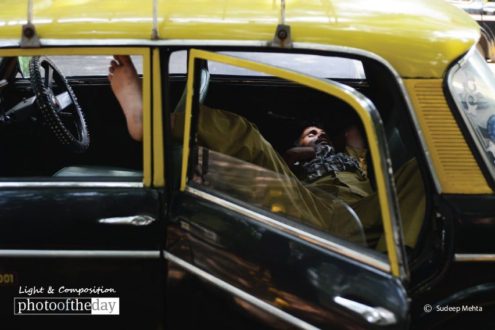 Time for a Short Nap by Sudeep Mehta