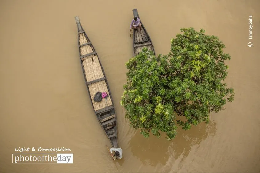 Photo of the Month | 64th Month - Photography Awards, Photo of the Month, Photography Competition, Winning Photography, Art Photography