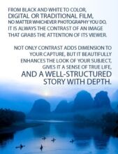 Contrast That Reveals the Subject - Photography Contrast, Image Contrast, Photography Techniques, Photography Education, Light & Composition