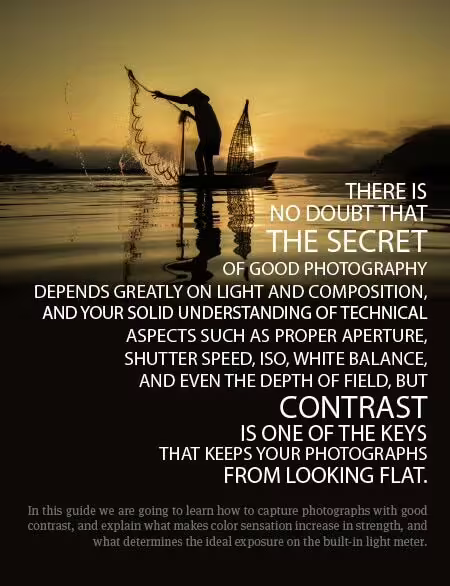 Contrast That Reveals the Subject - Photography Contrast, Image Contrast, Photography Techniques, Photography Education, Light & Composition