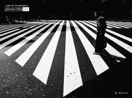At the Crossroads, by Shirren Lim - Photojournalism, Black and White Photography, Photography Awards, Art Photography,  Photo of the Day