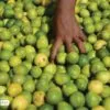 Lemons, by Sudeep Mehta - Food Photography, Photojournalism, Abstract Photography, Award Winning Photography, Light & Composition University