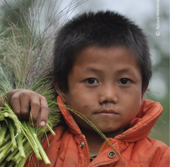 Harvesting Boy by Ryszard Wierzbicki