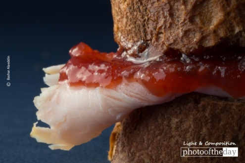 Turkey and Raspberry, by Bashar Alaeddin - Food Photography, Photography Awards, Photo of the Day, Award Winning Photography,  Bashar Alaeddin