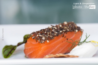 A Sashimi Portrait by Bashar Alaeddin