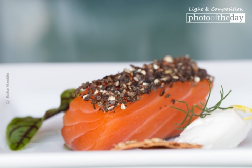 A Sashimi Portrait by Bashar Alaeddin