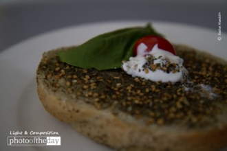 A Bed of Thyme by Bashar Alaeddin