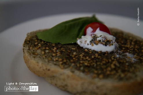 A Bed of Thyme by Bashar Alaeddin