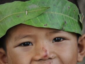Leaf Headband by Ryszard Wierzbicki