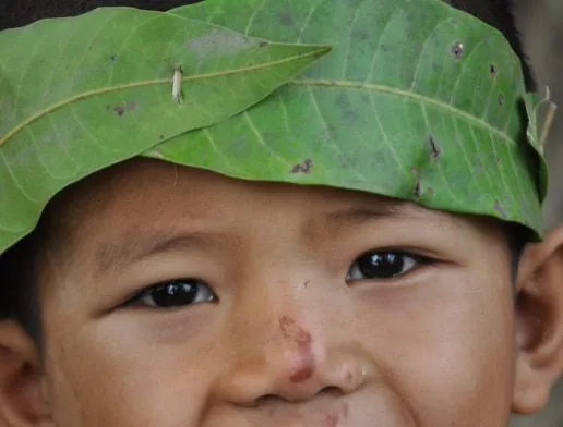 Leaf Headband by Ryszard Wierzbicki