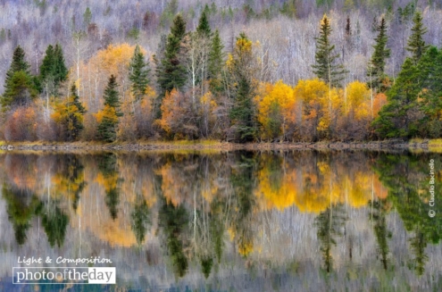 Chilko Lake Reflection, by Claudio Bacinello - Nature Photography, Photography Awards, Photo of the Day,  Claudio Bacinello,  Fine Art Photography