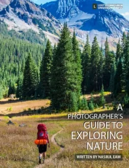 A Photographer’s Guide to Exploring Nature