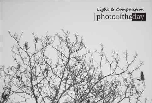 Life, by David Anthonio - Photojournalism, Black and White Photography, Art Photography, Photography Awards, Online Photography Courses