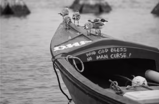 Laughing Gulls Riding the Waves by David Anthonio