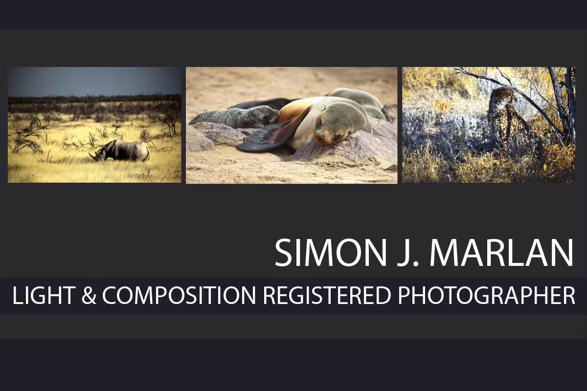 Simon J. Marlan