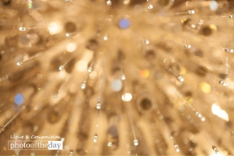 Shining Your Way by Ana Encinas