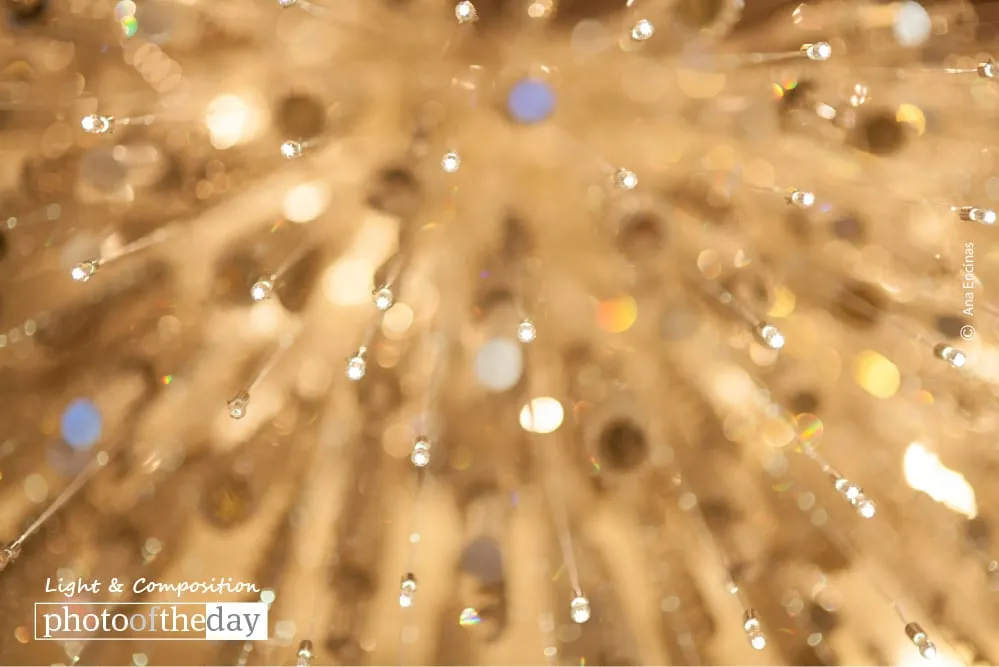 Shining Your Way by Ana Encinas