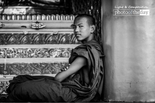 The Monk at Shwedagon Pagoda by Shirren Lim