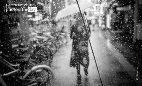 Backslash by Shirren Lim