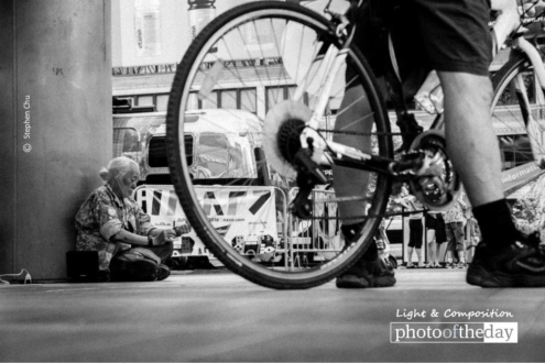 Timeless by Stephen Chu