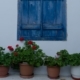 Blue Window, by Thomas Lianos