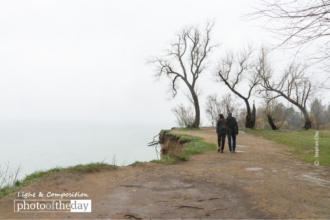 Nervous Wreck by Stephen Chu