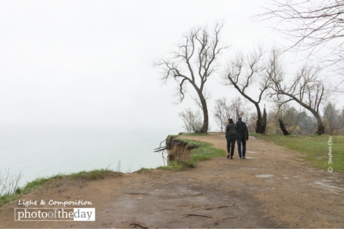 Nervous Wreck by Stephen Chu