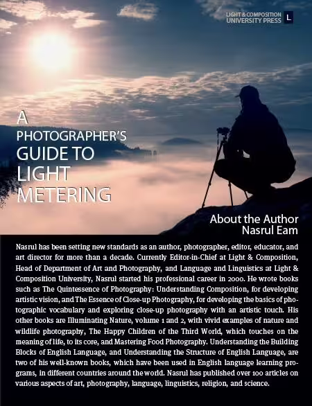 A Photographer's Guide to Light Metering - light metering, camera metering modes, photography techniques, exposure photography, photography guide