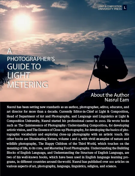 A Photographer's Guide to Light Metering - light metering, camera metering modes, photography techniques, exposure photography, photography guide