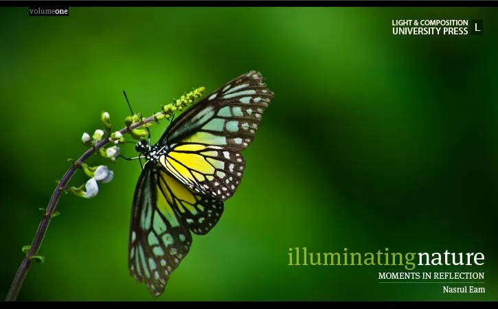 Nature Photography, Fine Art Photography, Photo Book, Photography Publication, Nasrul Eam - Illuminating Nature, Volume One Illuminating Nature, Volume One - Nature Photography, Fine Art Photography, Photo Book, Photography Publication, Nasrul Eam