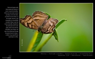 Illuminating Nature, Volume One - Nature Photography, Fine Art Photography, Photo Book, Photography Publication, Nasrul Eam
