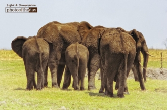 Making an Exit by Claudio Bacinello