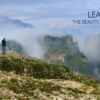 Learning to See the Beauty, Unity, and Harmony - Online Photography Courses, Photography Education, Art Photography, Photojournalism, Composition