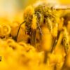 Exploring Perception - Photography Course, Online Photography Courses, Photography Education, Visual Storytelling, Perception
