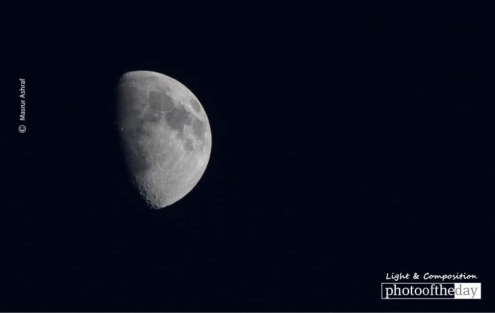 Capturing an Evening Beauty by Masrur Ashraf