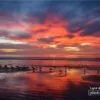 Birds, Sea, and the Fiery Sky, by Arindam Guptaray - Sunset Photography, Landscape Photography, Photo of the Day, Photography Awards, Online Photography Courses