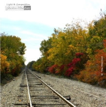 Fall Tracks by Tisha Clinkenbeard