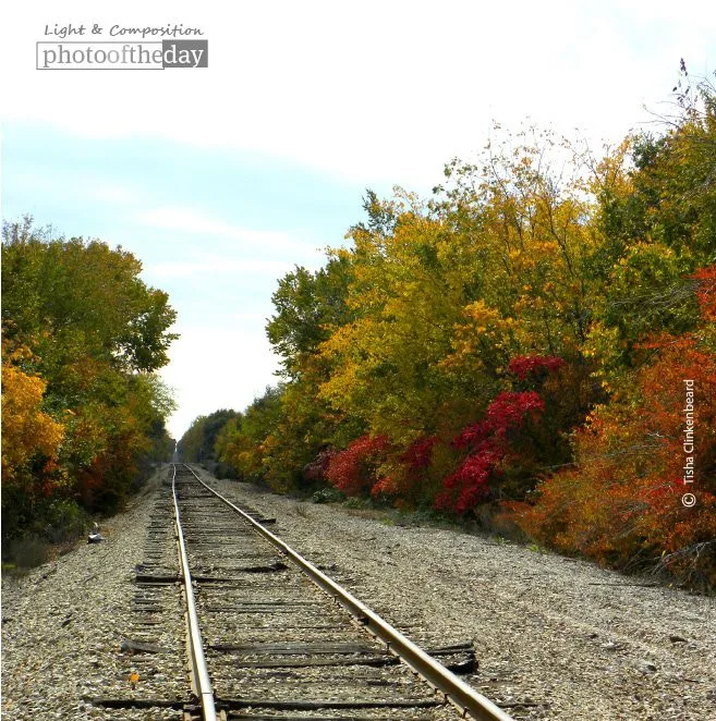 Fall Tracks by Tisha Clinkenbeard