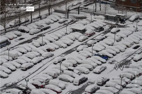 Snow Covered Cars by Des Brownlie