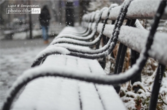 Snow Covered Benches by Des Brownlie