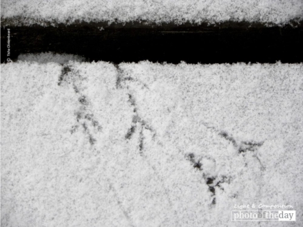 Tiny Footprints by Tisha Clinkenbeard