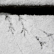 Tiny Footprints, by Tisha Clinkenbeard