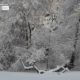 Winter in the Park, by Des Brownlie - Nature Photography, Photography Awards, Photo of the Day, Winter Photography, Central Park
