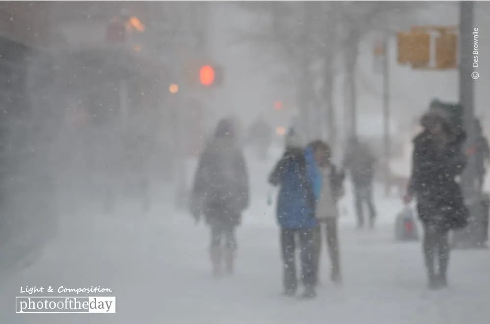 Snow Day by Des Brownlie