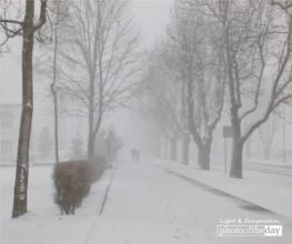 Blizzard by Nilla Palmer