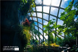 The Sky Porch by Zahraa Al Hassani