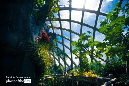 The Sky Porch, by Zahraa Al Hassani - Nature Photography, Photo of the Day, Photography Awards, Art Photography, Online Photography Courses